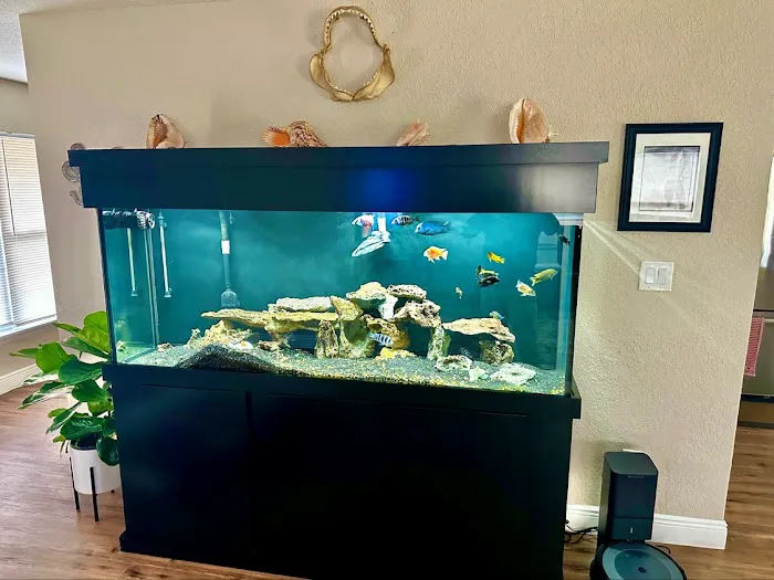 Cichlid Express/ Daytona Aquarium Fish Store Picture 1