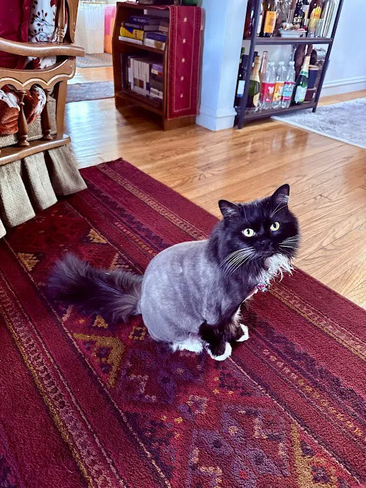 Vetco Total Care Animal Hospital Picture 8