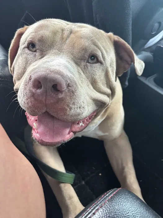 Vetco Total Care Animal Hospital Picture 9