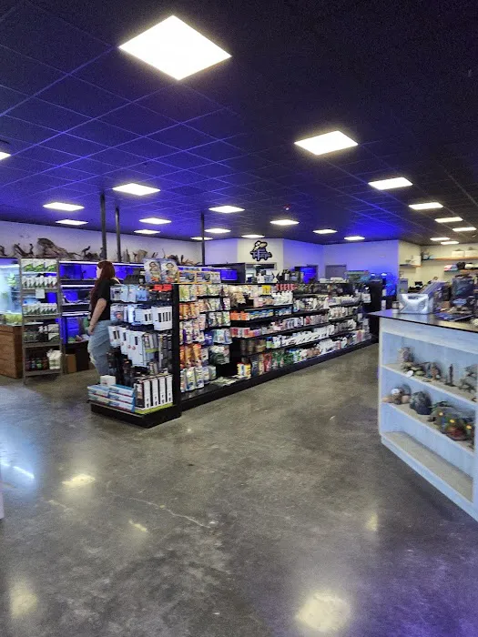 The Fish Tank Picture 3