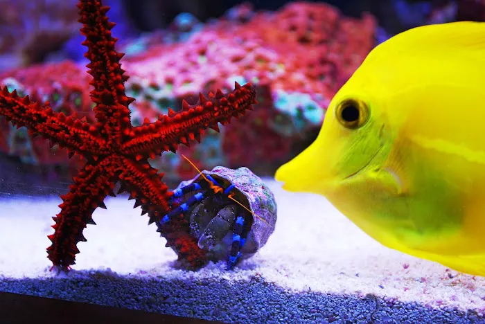 The Fish Tank Picture 10