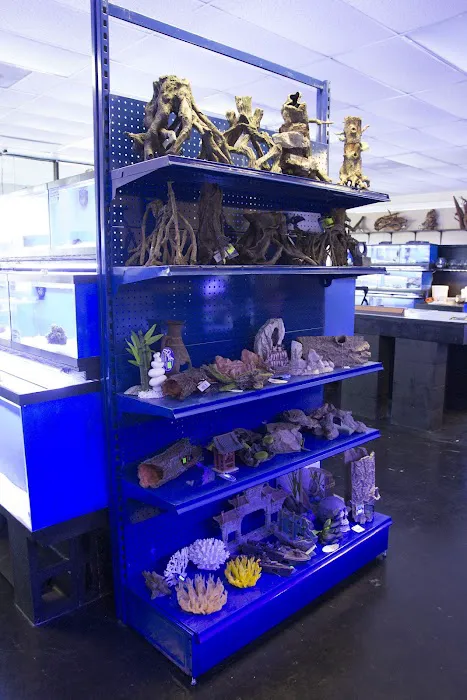 The Fish Tank Picture 7