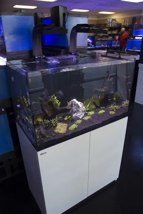 The Fish Tank Picture 8