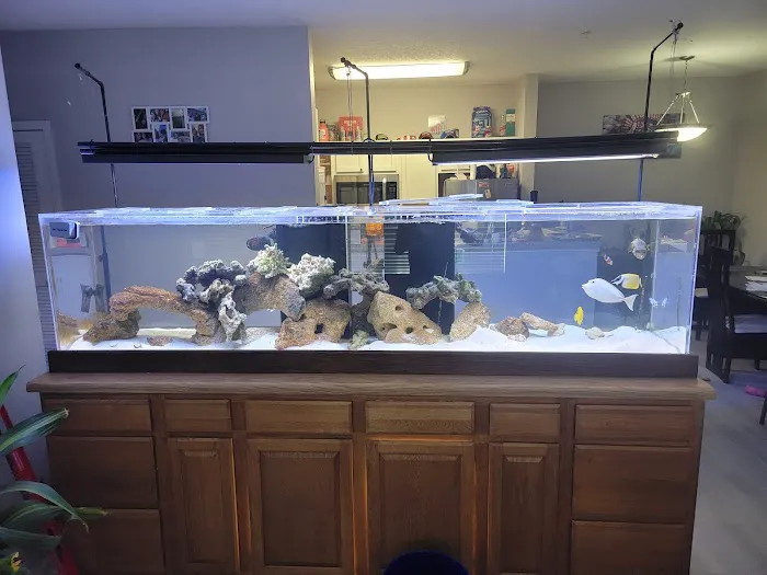 The Fish Tank Picture 6