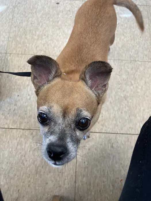 Banfield Pet Hospital Picture 7