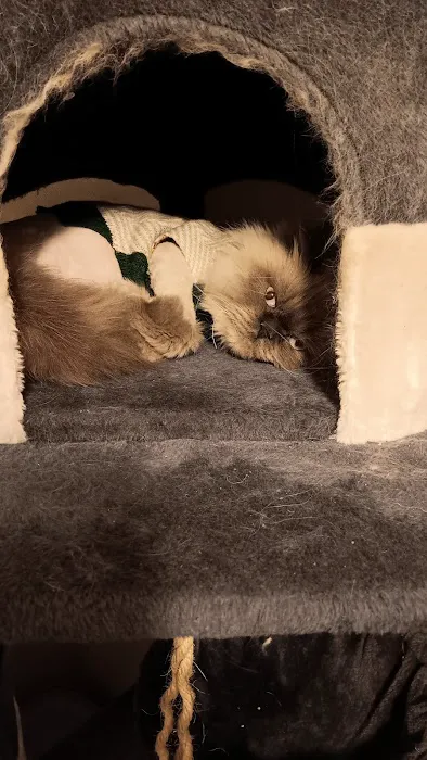 Banfield Pet Hospital Picture 6