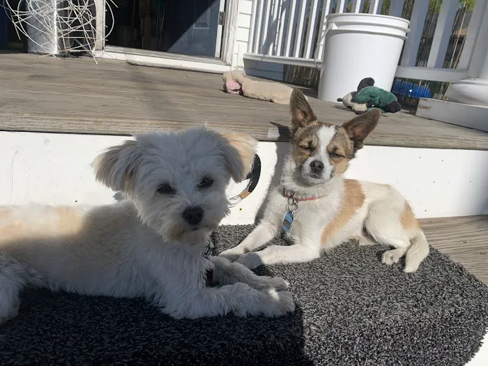 Banfield Pet Hospital Picture 3