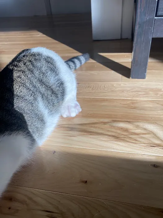 Banfield Pet Hospital Picture 9