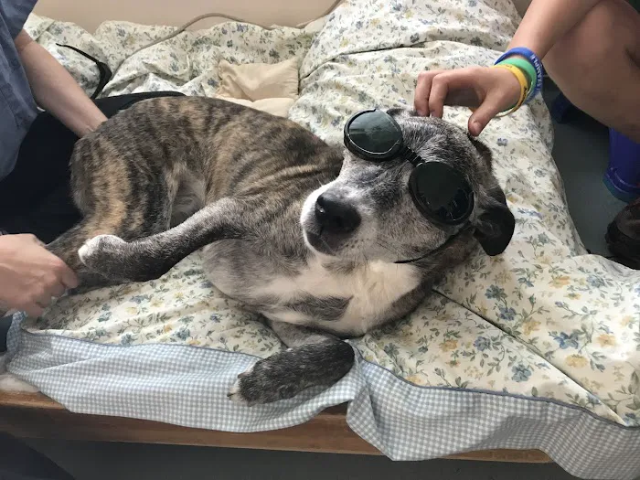 Sterling Impression Animal Rehabilitation Center Picture 9