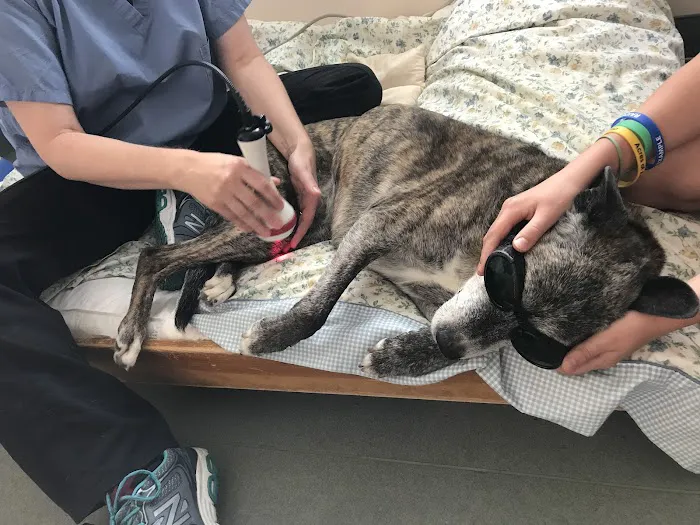 Sterling Impression Animal Rehabilitation Center Picture 4