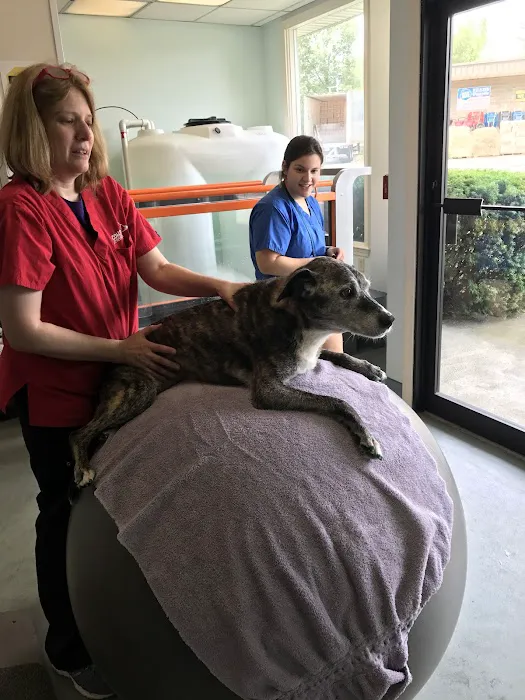Sterling Impression Animal Rehabilitation Center Picture 2
