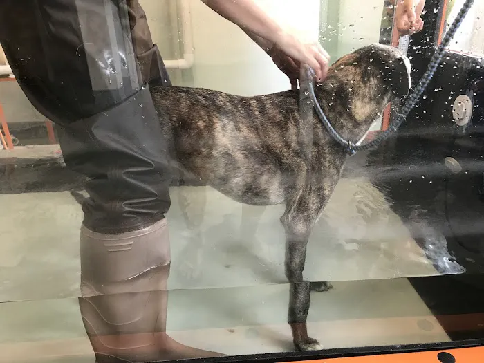Sterling Impression Animal Rehabilitation Center Picture 1