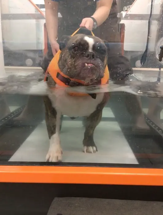Sterling Impression Animal Rehabilitation Center Picture 6