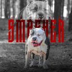 Xtreme Champion Bully