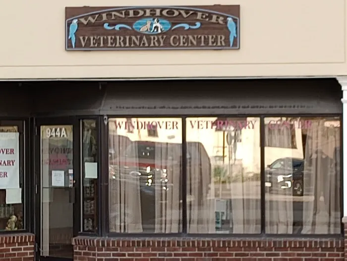 Pet Supermarket Picture 3
