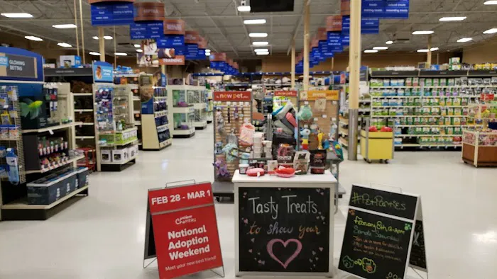 Pet Supermarket Picture 9