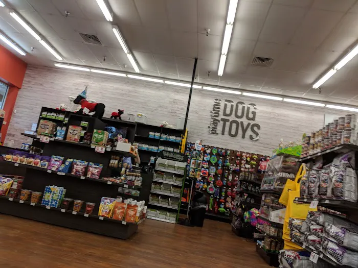 Pet Supermarket Picture 4
