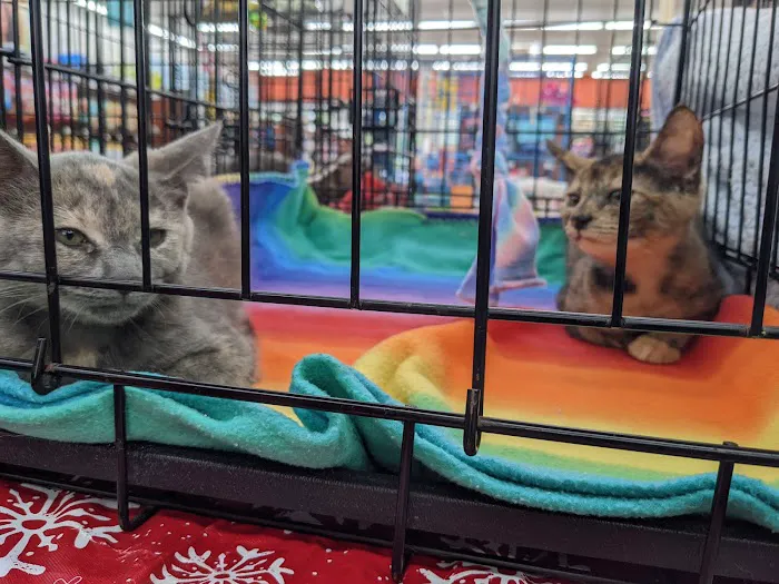 Pet Supermarket Picture 2