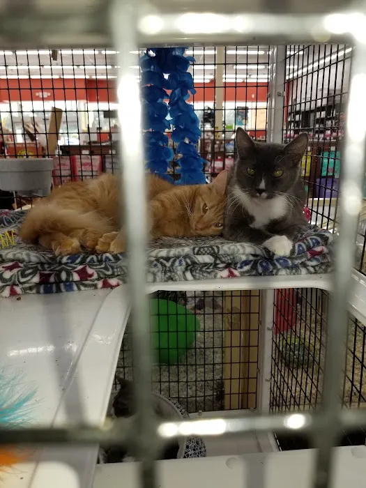 Pet Supermarket Picture 3