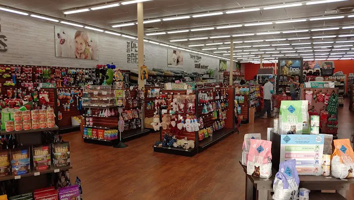 Pet Supermarket Picture 9