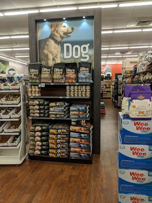 Pet Supermarket Picture 6