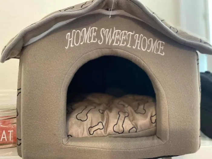 Furry Friends Gourmet Pet Treats Picture 8