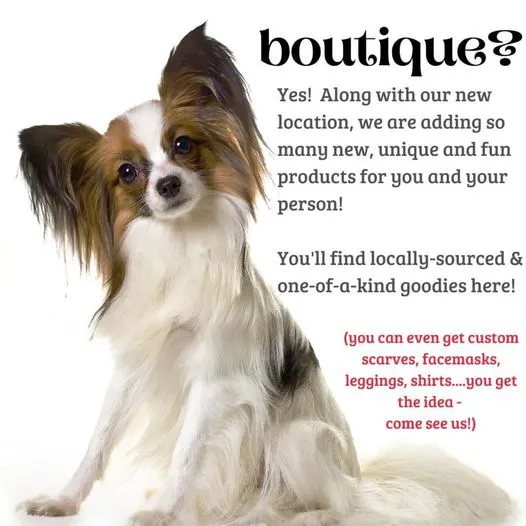Furry Friends Gourmet Pet Treats Picture 7