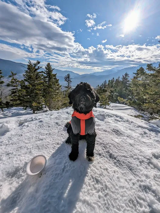 Hudson Animal Hospital Picture 2