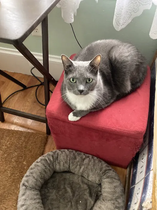 Hudson Animal Hospital Picture 5