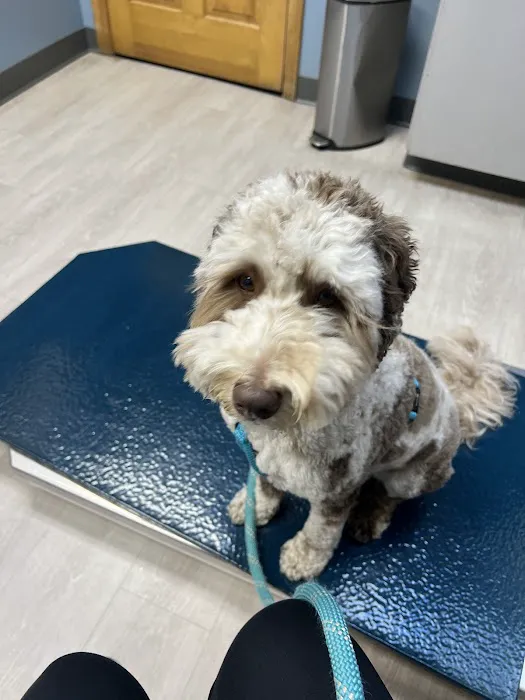 Hudson Animal Hospital Picture 3