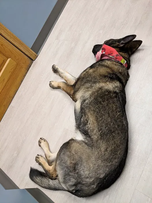 Hudson Animal Hospital Picture 7