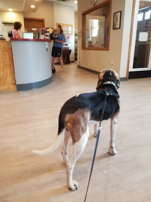 Hudson Animal Hospital Picture 6