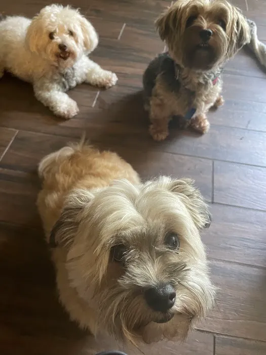 Hudson Animal Hospital Picture 10