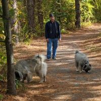 Sudbury Animal Hospital ico