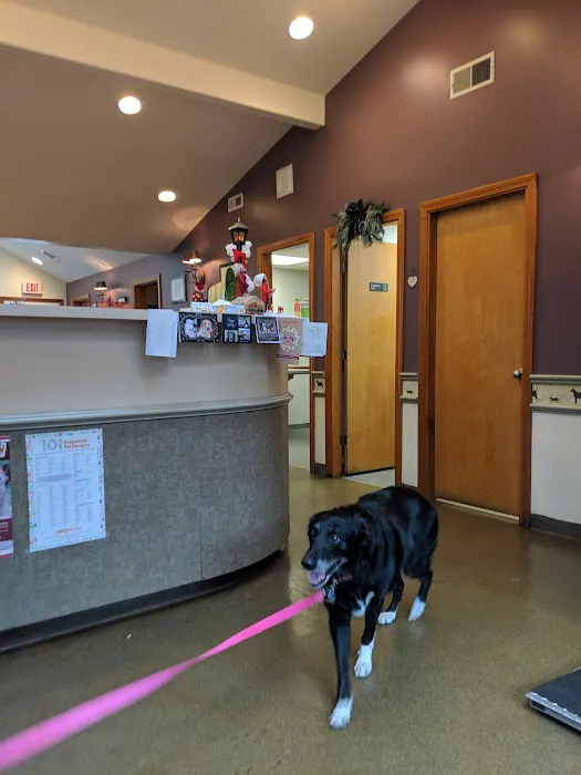 Sudbury Animal Hospital Picture 4