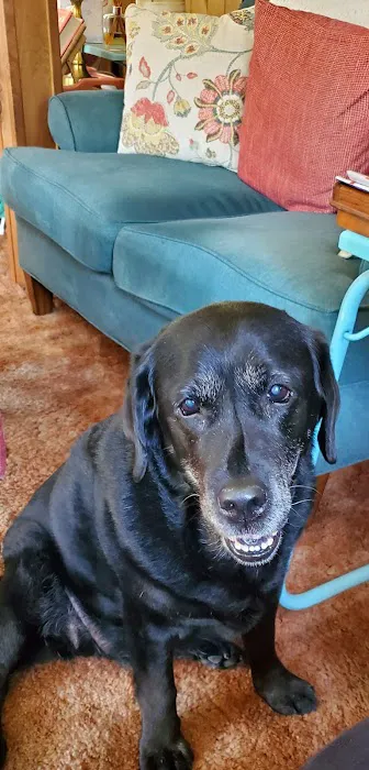 Framingham Animal Hospital Picture 2