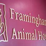 Framingham Animal Hospital
