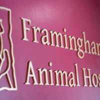 Framingham Animal Hospital ico