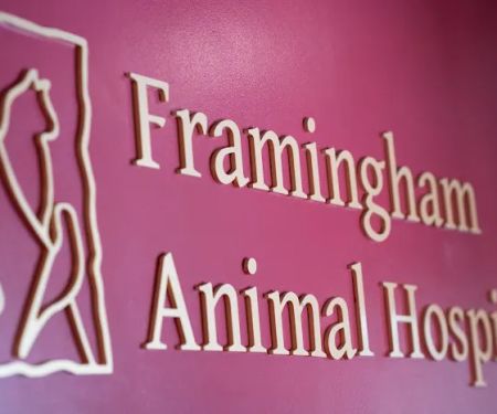 Framingham Animal Hospital