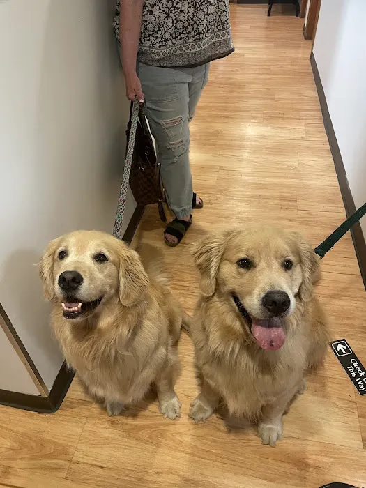 Framingham Animal Hospital Picture 7