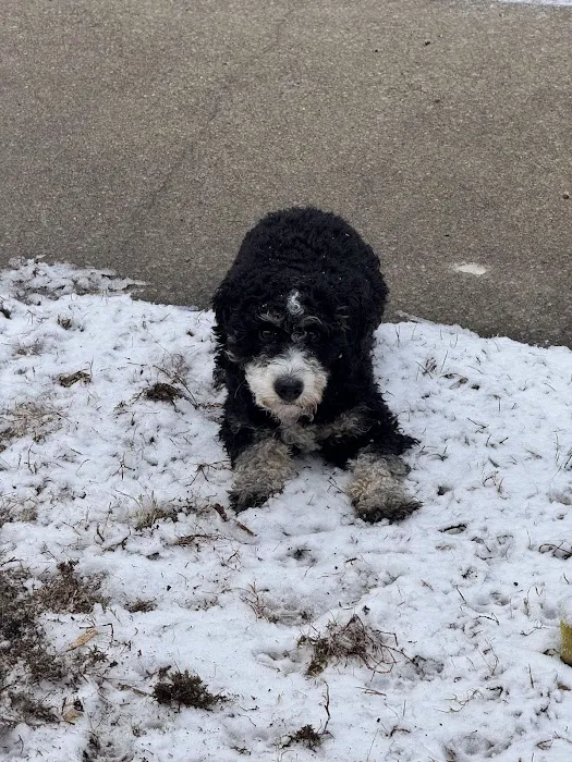 Framingham Animal Hospital Picture 9