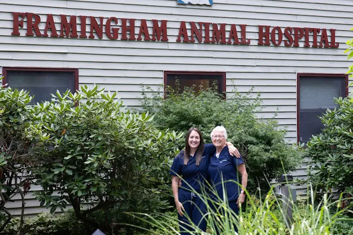 Framingham Animal Hospital Picture 6