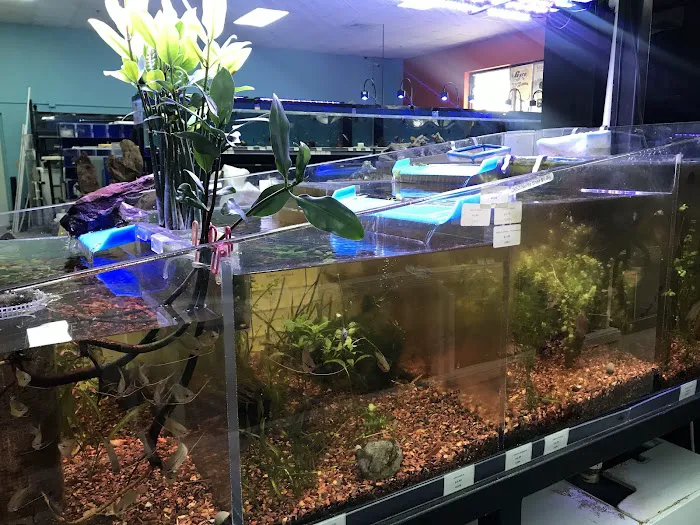 Poseidon Aquarium Picture 1