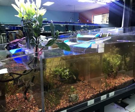 Poseidon Aquarium