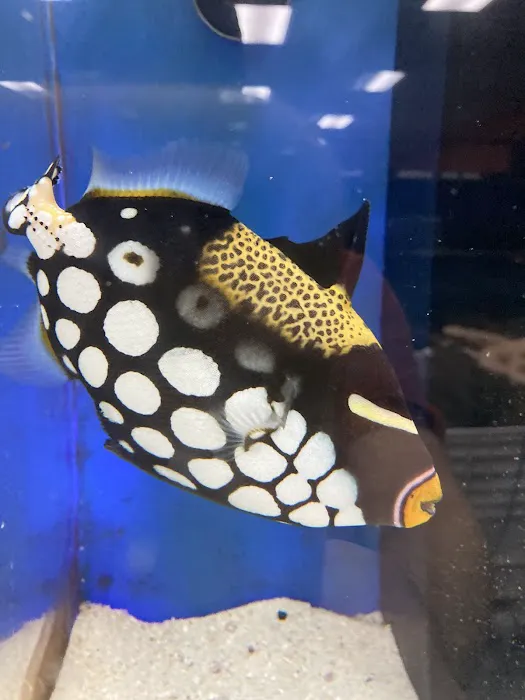 Poseidon Aquarium Picture 7