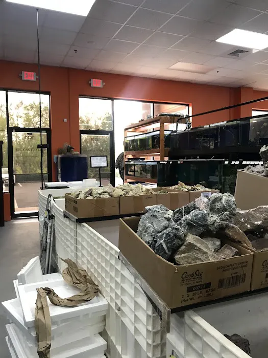 Poseidon Aquarium Picture 5