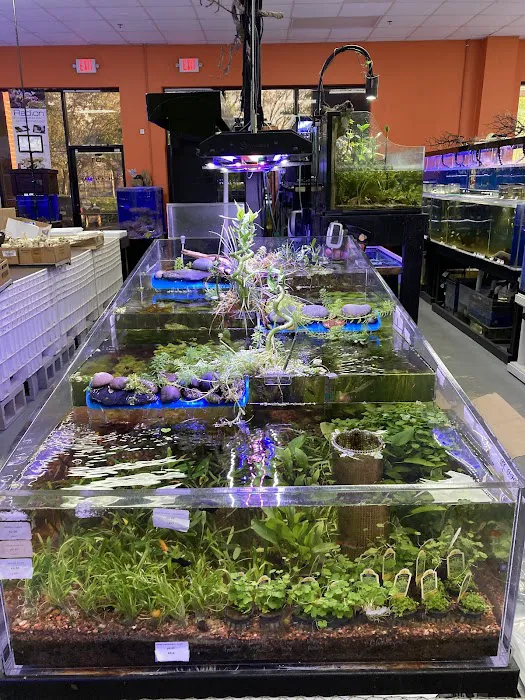 Poseidon Aquarium Picture 8