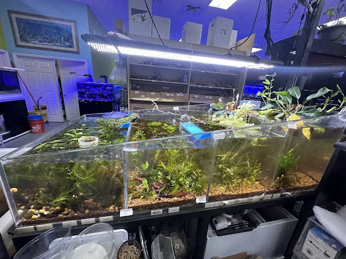 Poseidon Aquarium Picture 3