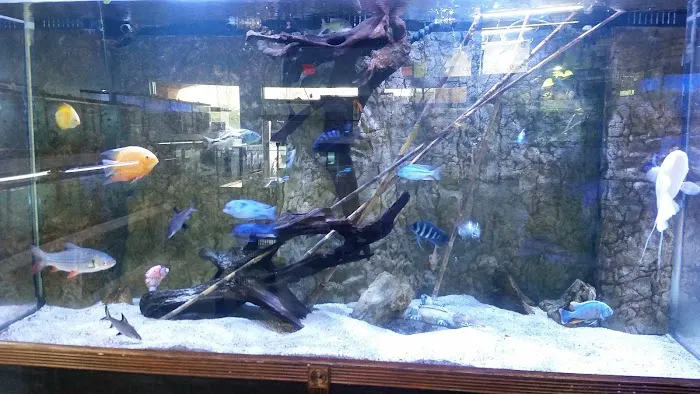 Poseidon Aquarium Picture 4