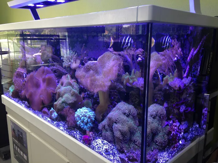 Poseidon Aquarium Picture 9